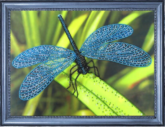 Bead embroidery kit Dragonfly DIY