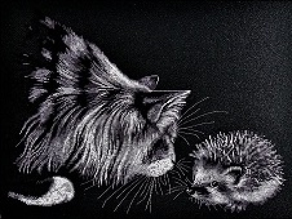 Counted Cross Stitch Kit Cat with a hedgehog DIY Alisena