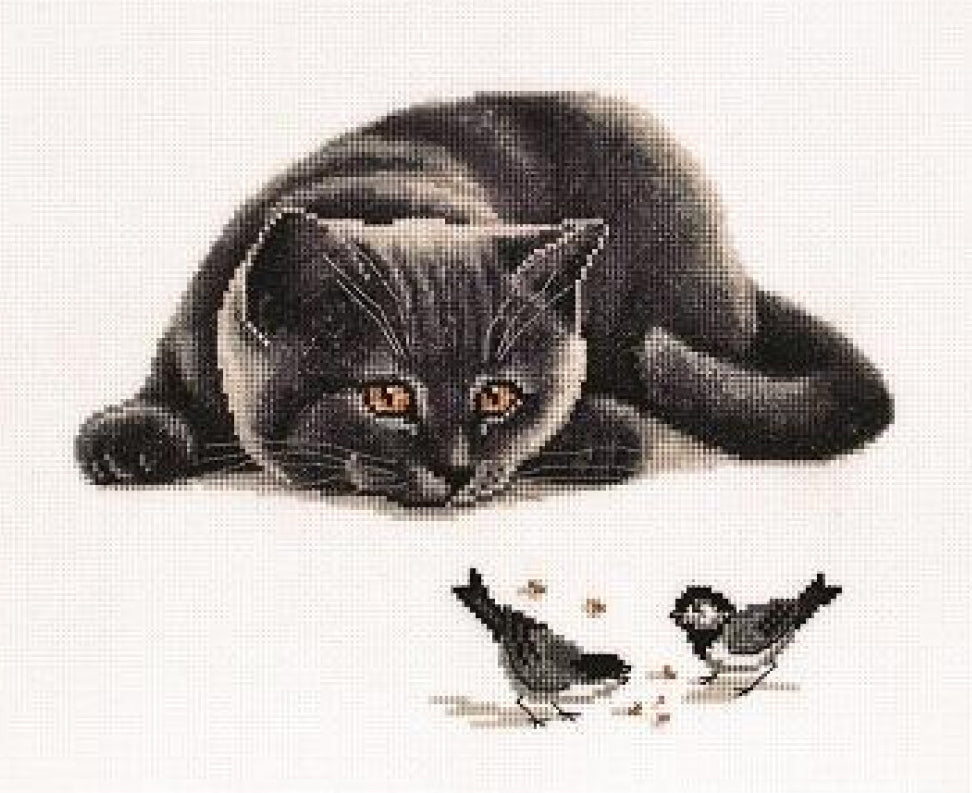 Counted Cross Stitch Kit Cat DIY Alisena