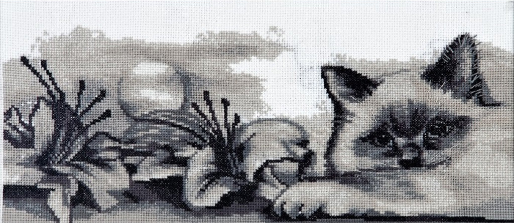 Counted Cross Stitch Kit Cat DIY Alisena
