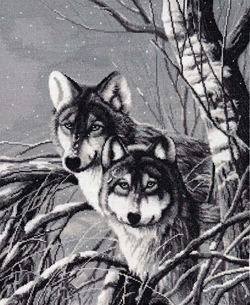 Two wolves in a snowy forest scene