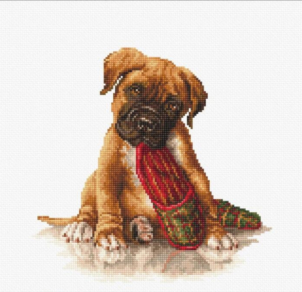 Counted Cross stitch kit Boxer DIY Luca-S