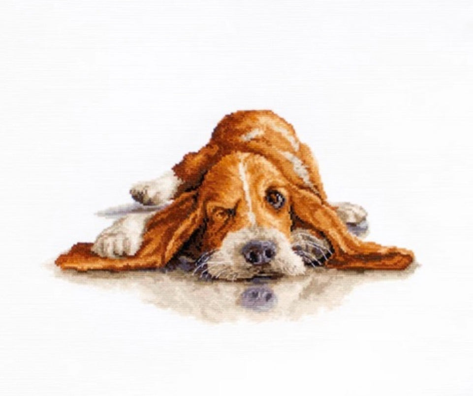 Counted Cross stitch kit Basset DIY Luca-S