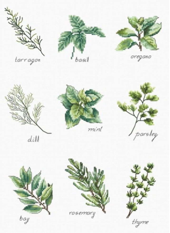 Counted Cross stitch kit Spices and herbs DIY Luca-S