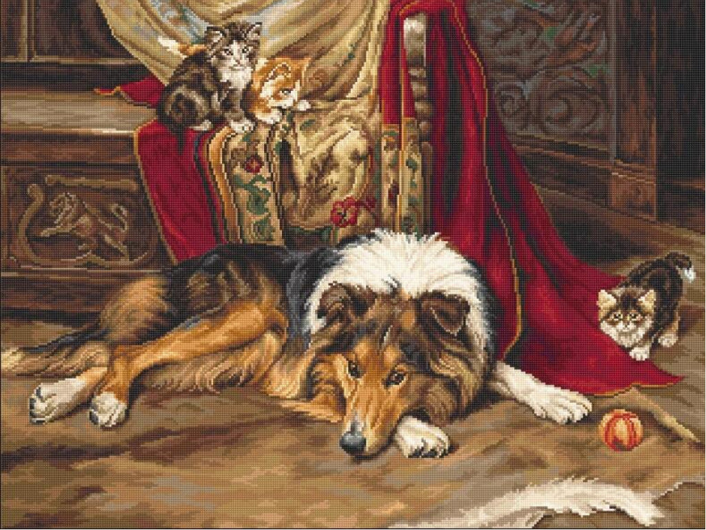 Counted Cross stitch kit Сollie dog DIY Luca-S