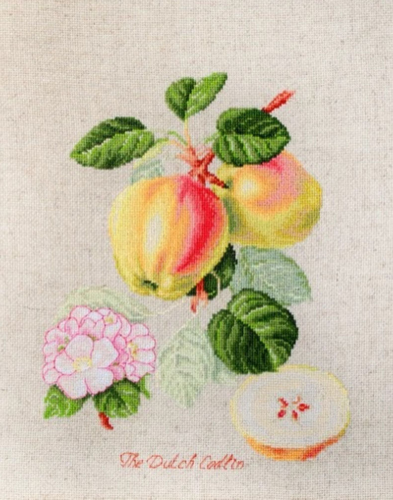 Counted Cross stitch kit The apples DIY Luca-S