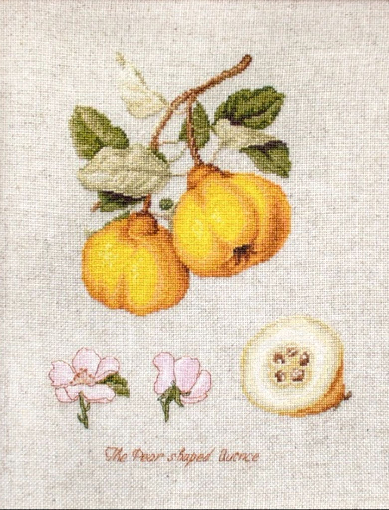 Kit de point de croix compté Quince Luca-S DIY Toile non imprimée (Perleinen)