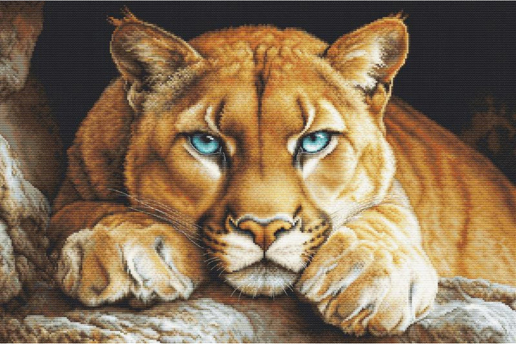 Counted Cross Stitch Kit Wild Cat DIY Luca-S