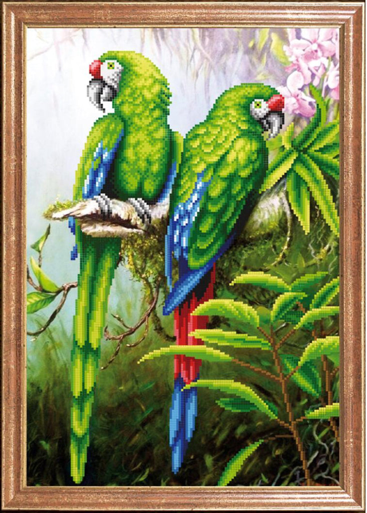 Kit de broderie de perles Perroquets DIY