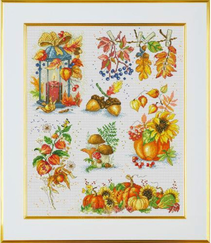 Counted Cross Stitch Kit Autumn sampler DIY VDV