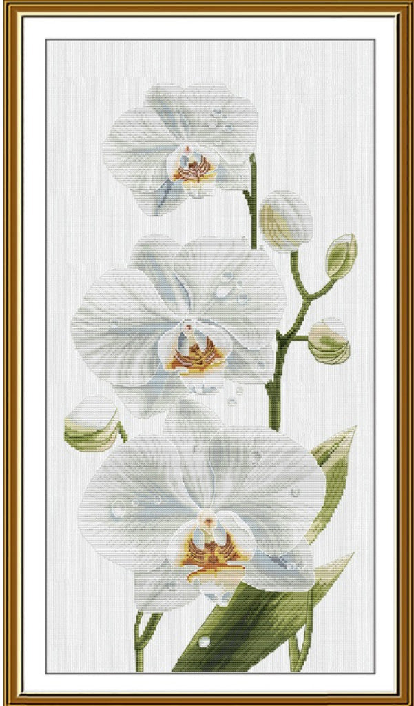 Kreuzstichset mit Gänseblümchen, zum Selbermachen, unbedruckte Leinwand