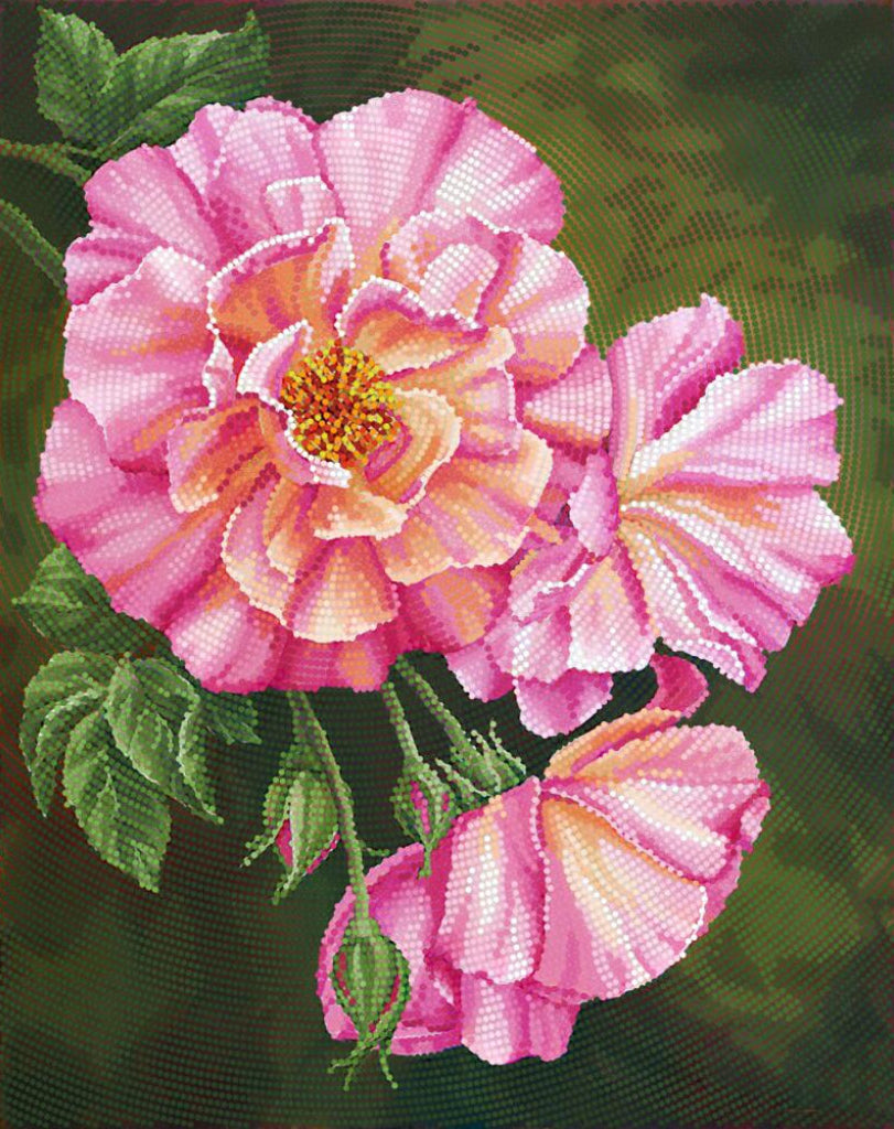 Close-up of a pink flower with green leaves on a dark background