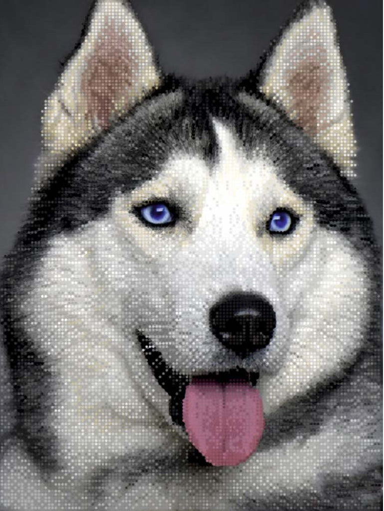 Bead Embroidery Kit Dog Husky DIY Tela Artis