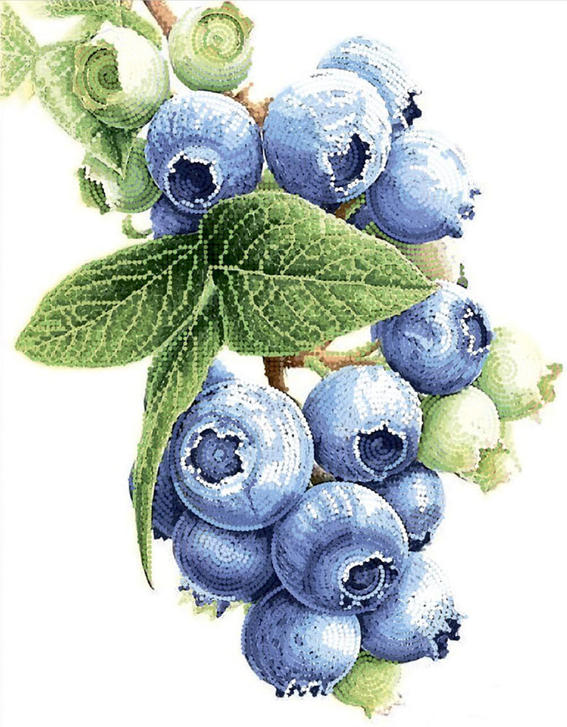 Bead Embroidery Kit Blueberry DIY Tela Artis