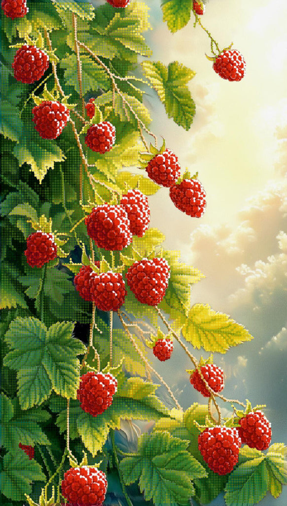 A close-up botanical scene of ripe red raspberries on leafy green vines against a soft glowing sky background.