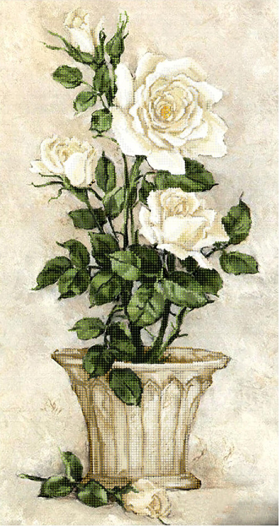 White roses in a decorative vase on a textured beige background