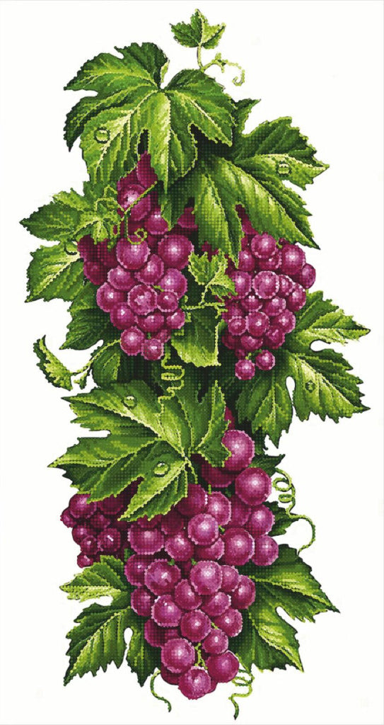 Kit de broderie de perles Raisin DIY