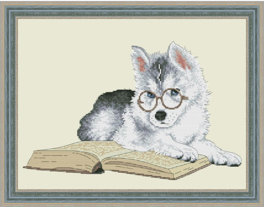 Counted Cross Stitch Kit Dog DIY Olanta