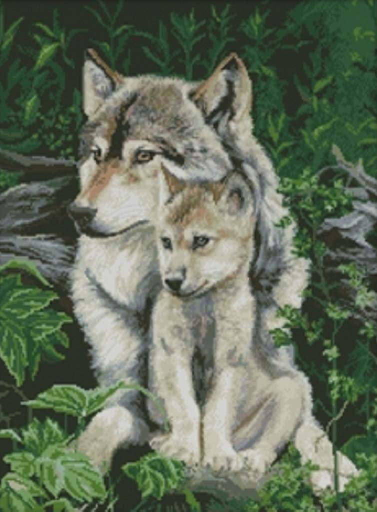 Two wolves sitting together in a forest setting
