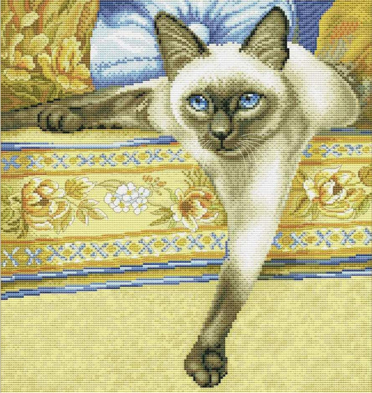 Counted Cross Stitch Kit Cat DIY