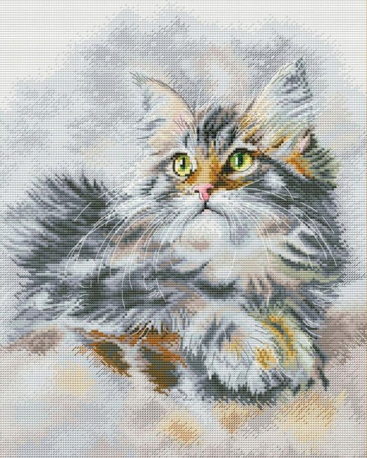 Counted Cross Stitch Kit Cat DIY