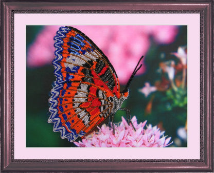 A beaded embroidery kit depicting a colorful butterfly on a pink flower, with a printed pattern fabric, beads, and a needle included.