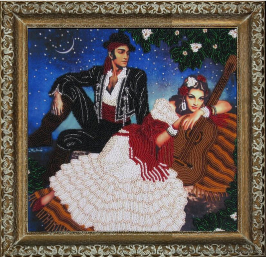 Bead embroidery kit Night Serenade DIY