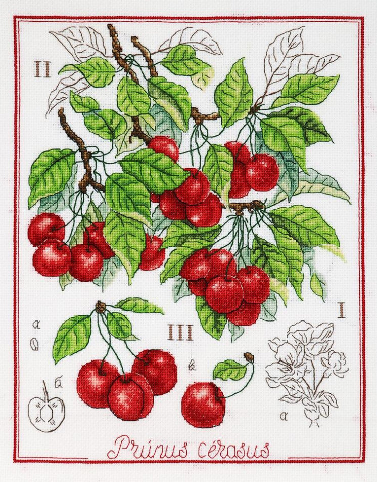 Counted Cross Stitch Kit Cherry DIY Alisena