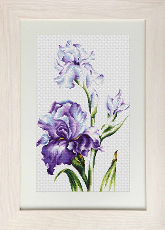 Counted Cross Stitch Kit Irises Flowers DIY Luca-S