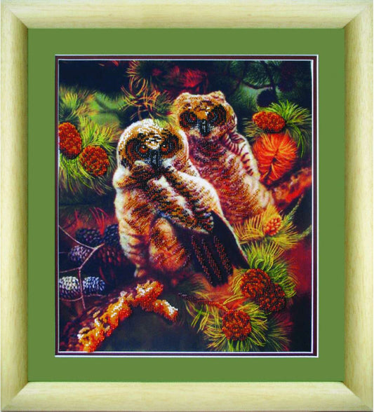 Bead Embroidery Kit Owls DIY Charivna mit