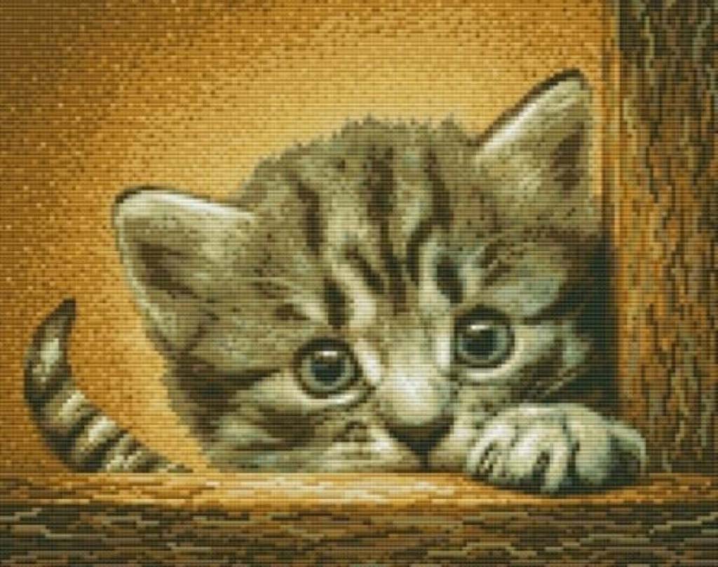 Kitten peeking out from a wooden box with a textured background