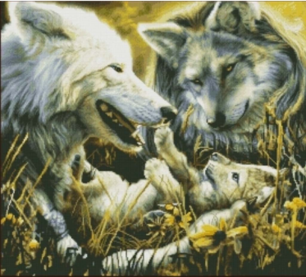 Two wolves and a wolf cub in a natural setting with grass and flowers.