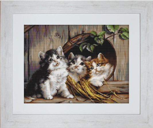 Counted Cross stitch kit Cats DIY Luca-S