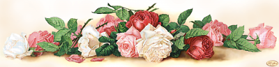 Bead Embroidery Kit Roses Beaded needlepoint Beaded stitching Beadwork DIY