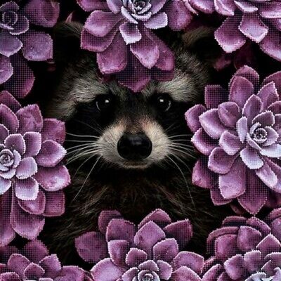 Bead Embroidery Kit Raccoon Bead needlepoint Beaded stitching Beadwork DIY