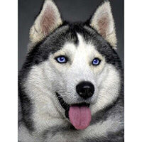 Bead Embroidery Kit Dog Husky DIY Bead needlepoint Bead stitching Beadwork