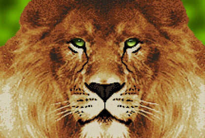 A close-up image of a lion's face, presumably made with bead embroidery as part of the product's design.