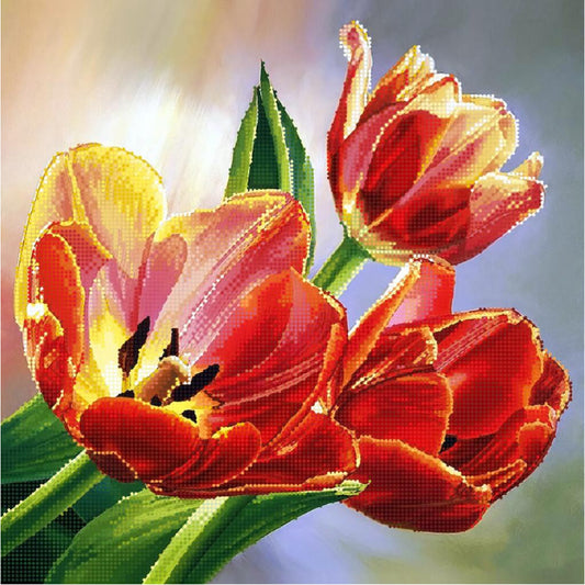 Close-up of red tulips with a blurred background