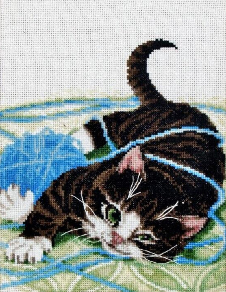 Counted Cross Stitch Kit Cat DIY Alisena