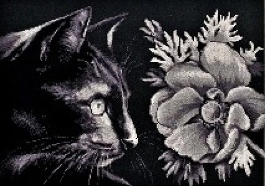 Counted Cross Stitch Kit Cat DIY Alisena