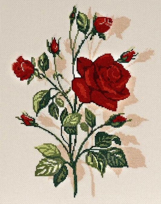 Counted Cross Stitch Kit Roses Flowers DIY Alisena