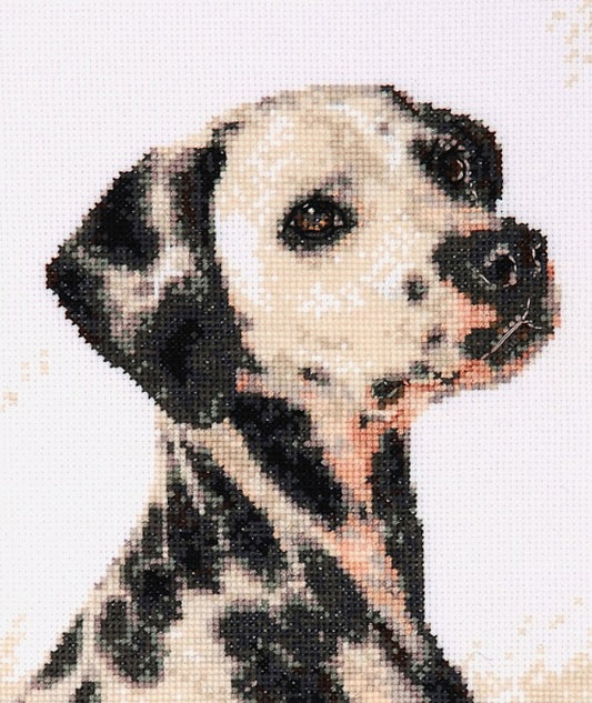 Counted Cross Stitch Kit Dalmatian dog DIY Alisena