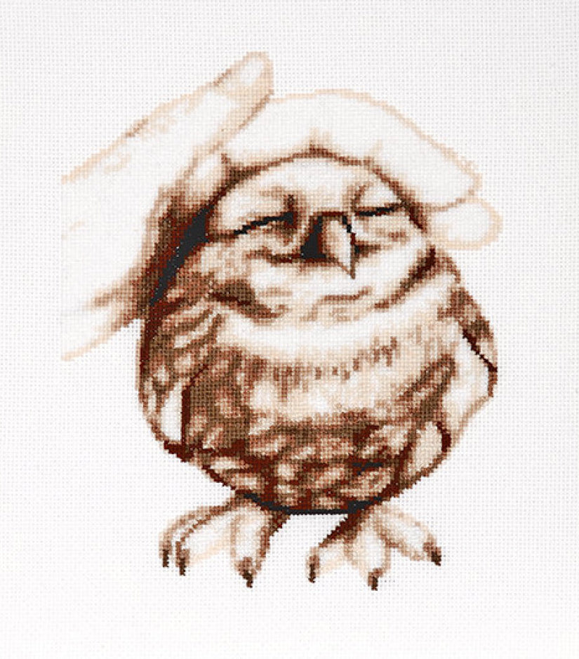 Counted Cross Stitch Kit Owl DIY Alisena
