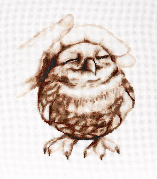 Counted Cross Stitch Kit Owl DIY Alisena