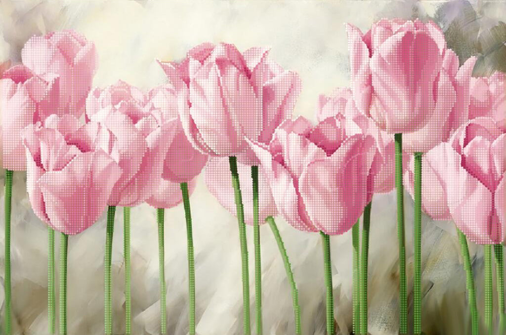 Pink tulips with a soft focus background