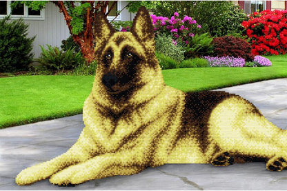 A bead embroidery kit depicting a dog, specifically a sheepdog, with a printed pattern on fabric, beads, and a needle included.