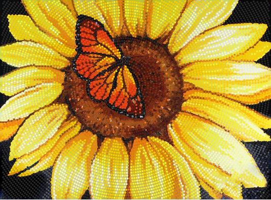 Sunflower with a butterfly on a black background