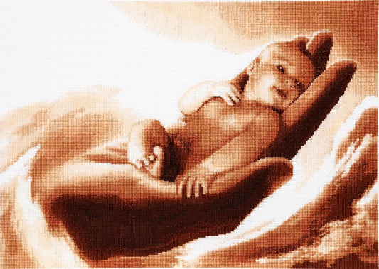 Counted Cross Stitch Kit Baby DIY Alisena