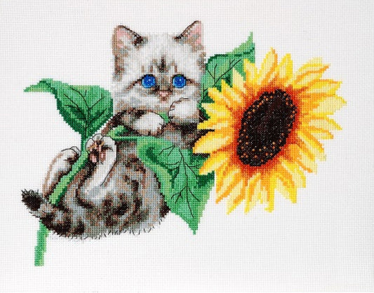 Counted Cross Stitch Kit Cat DIY Alisena