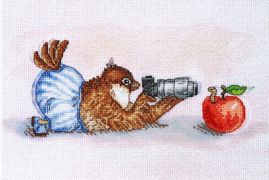 Counted Cross Stitch Kit Sparrow photographer DIY Alisena